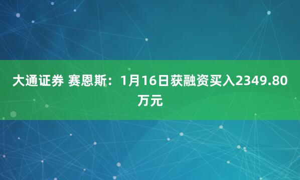 大通证券 赛恩斯：1月16日获融资买入2349.80万元
