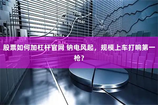 股票如何加杠杆官网 钠电风起，规模上车打响第一枪？