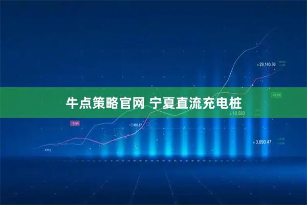 牛点策略官网 宁夏直流充电桩